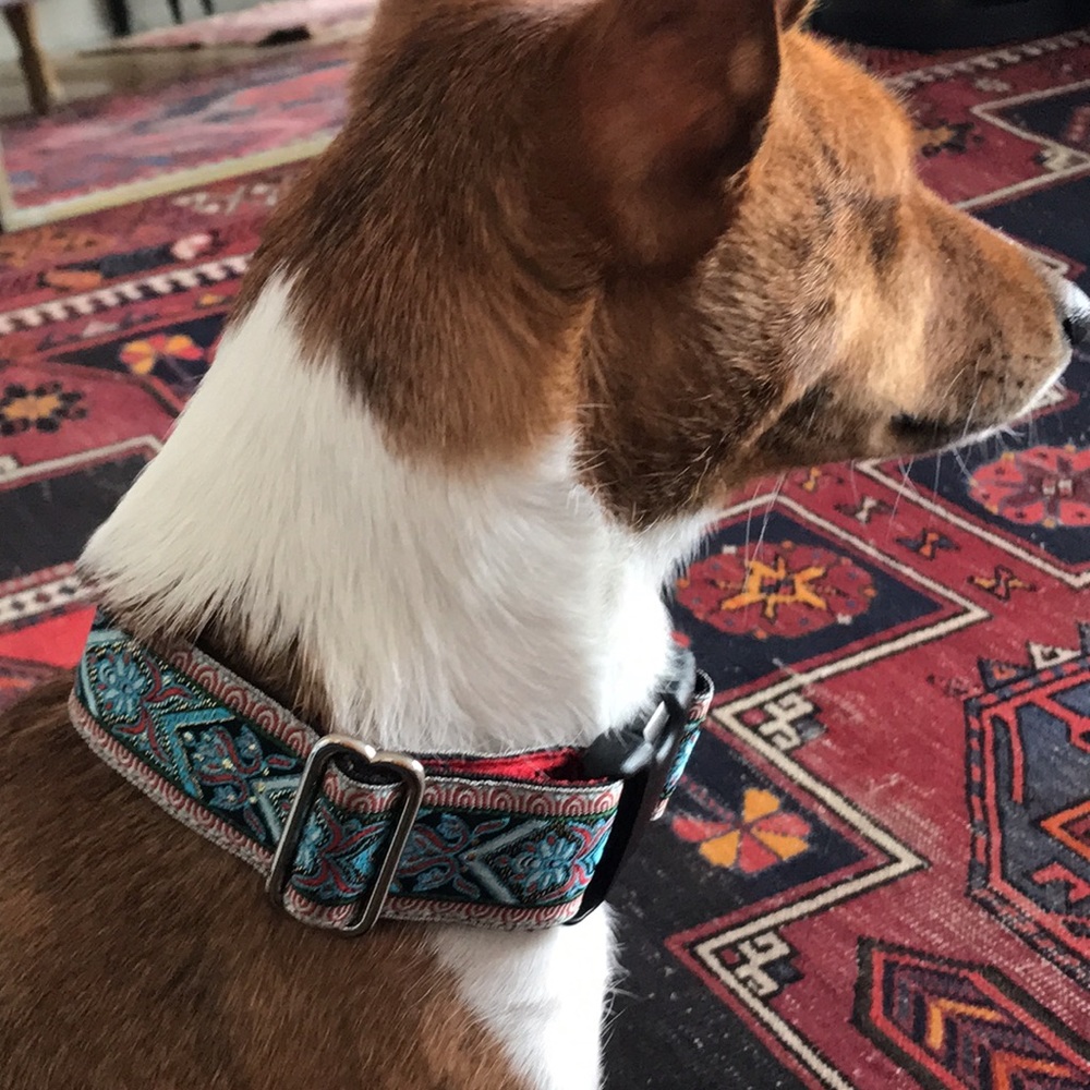 MacKensie Venice Ribbon Collar Red Blue Black Metallic Gold Snap Close